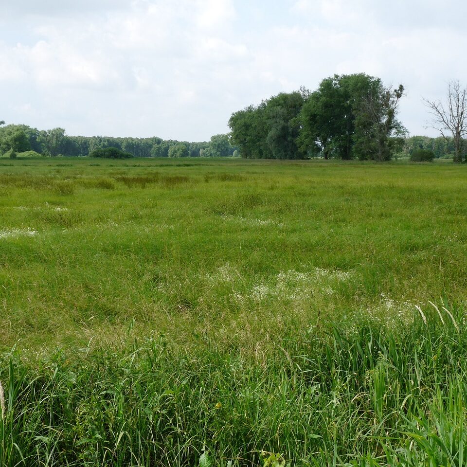 Wolfsburgs versunkene Dörfer